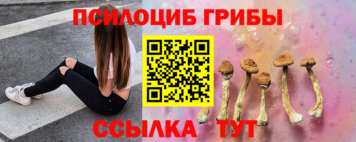 Псилоцибиновые грибы GOLDEN TEACHER  Вход с VPN  Кушва 